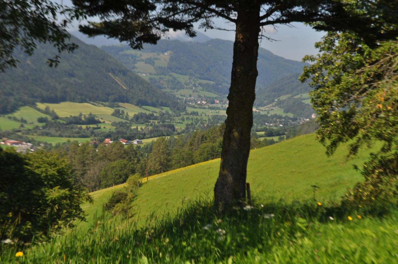 Fruhstuckspension Bischof I D Wiesen Санкт-Петер-ам-Каммерсберг Экстерьер фото